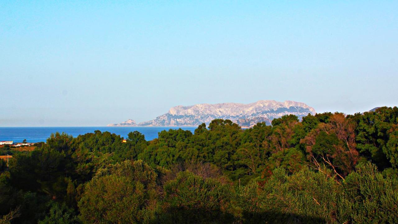 Sole Matto Rooms Olbia Zewnętrze zdjęcie