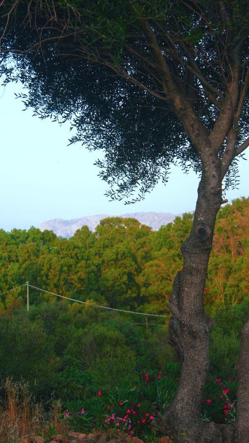 Sole Matto Rooms Olbia Zewnętrze zdjęcie