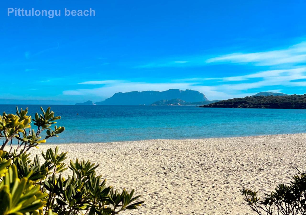Sole Matto Rooms Olbia Zewnętrze zdjęcie