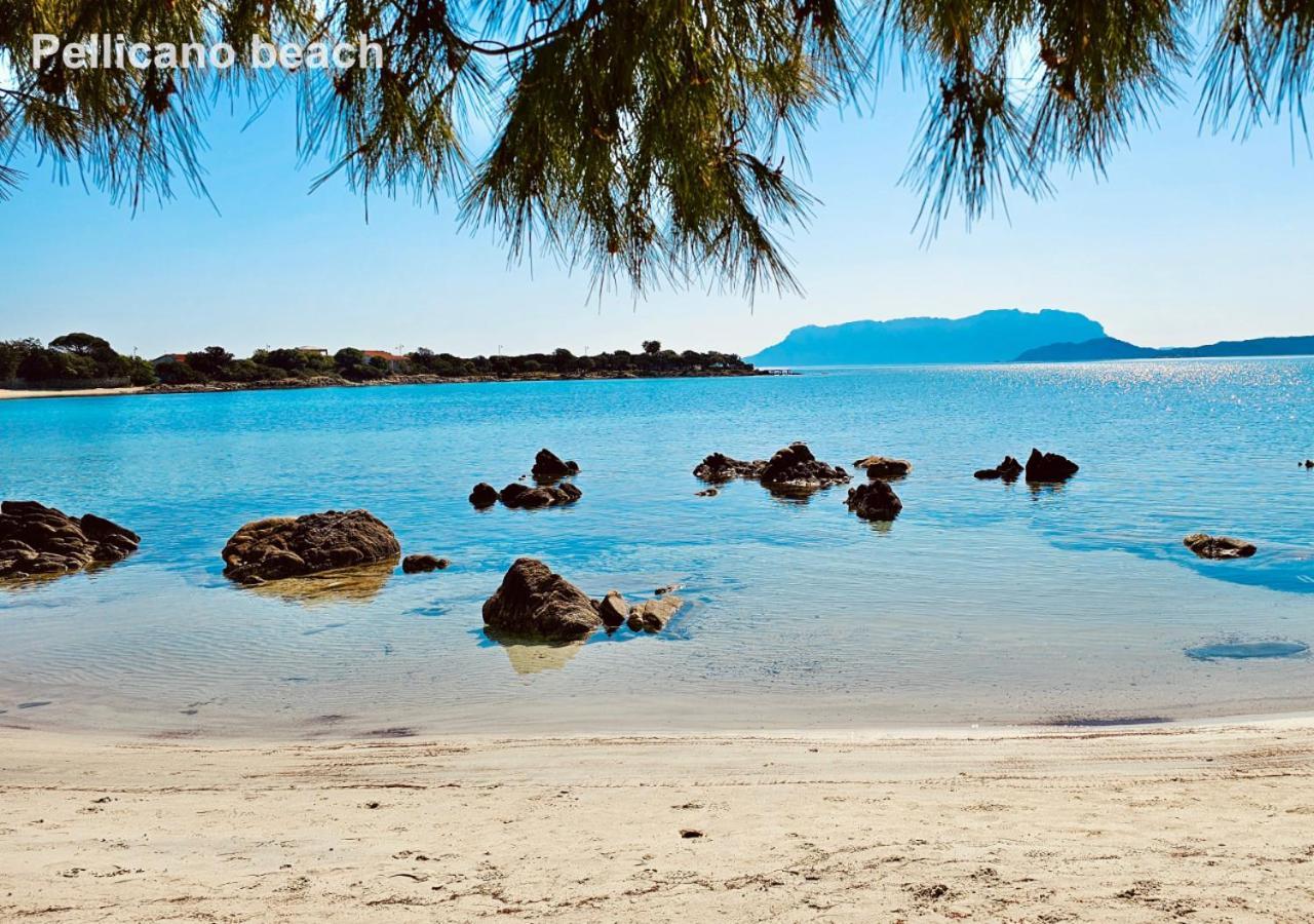 Sole Matto Rooms Olbia Zewnętrze zdjęcie